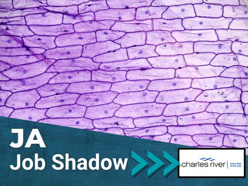 JA Job Shadow at Charles River Laboratories